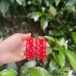 মণিকাঞ্চন